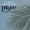 tropical landscaping